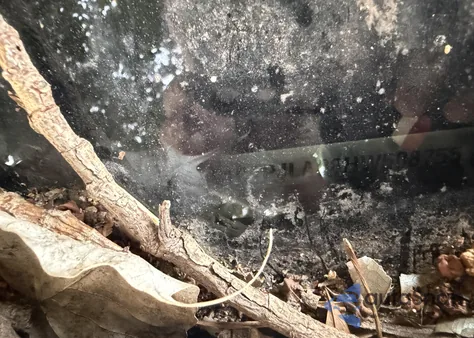 2017 Jeep Cherokee Altitude Fwd from USA, damaged, VIN 1C4PJLAB8HW508755